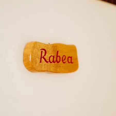 Rabea Apartment Schierke